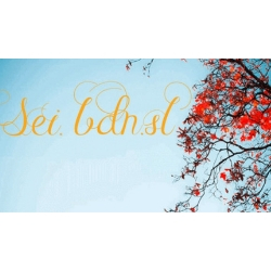 Construcciones e Instalaciones SEI.BDN. S.L.