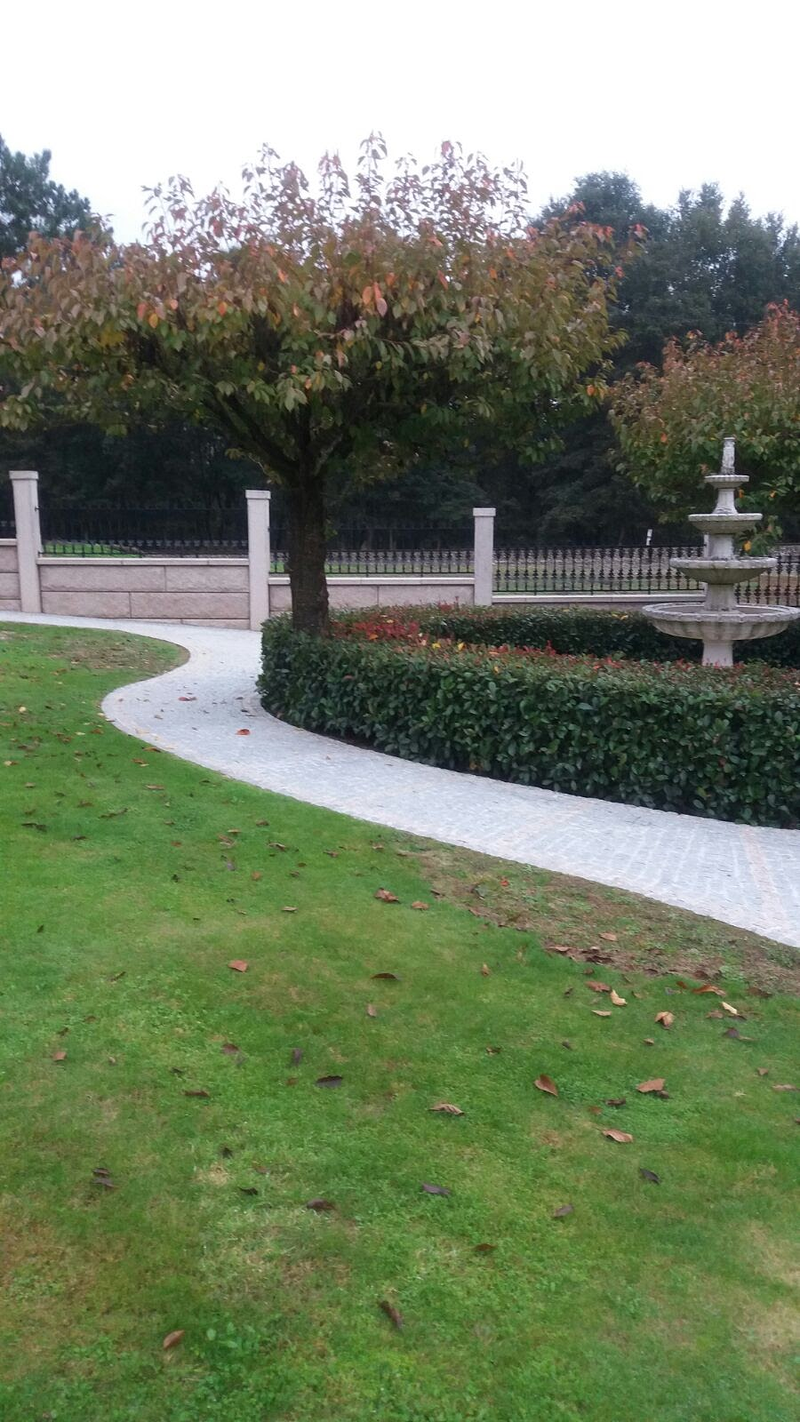 Los Hombres Del Adoqu&iacute;n 16