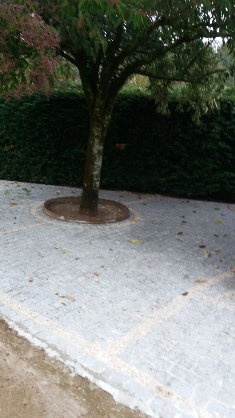 Los Hombres Del Adoqu&iacute;n 12