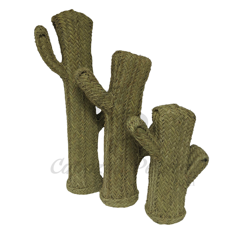 Hogar Andalus&iacute; 24