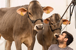 Galería de imágenes