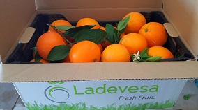 Ladevesa Fresh Fruit 12