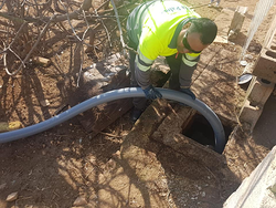 Galería de imágenes