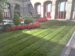 Galería de imágenes