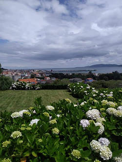 Galería de imágenes