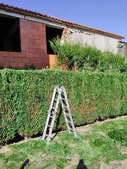 Galería de imágenes