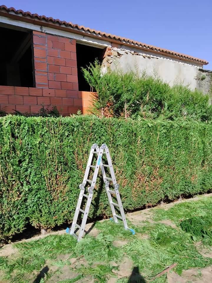 Landra Xardineria Cariño