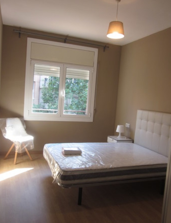 Mudanzas y Transporte DJ 4