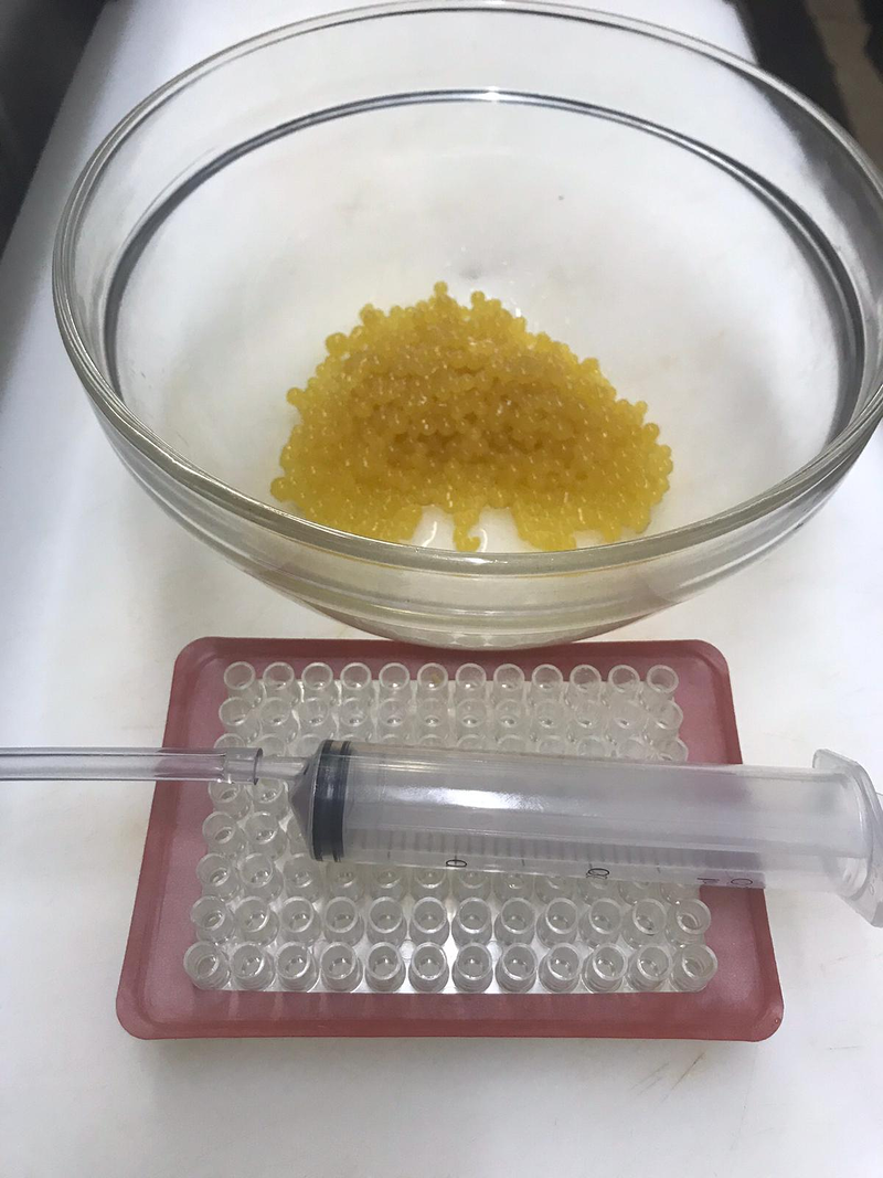 Restaurante Serendipity 11