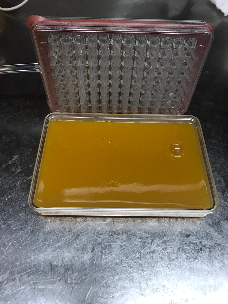 Restaurante Serendipity 13