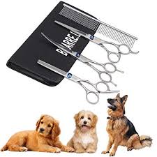 Estetica Canina y Felina a Domicilio 7