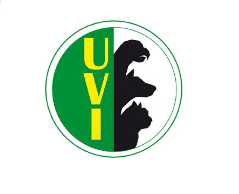 Estetica Canina y Felina a Domicilio 10