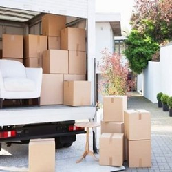 Galería de imágenes