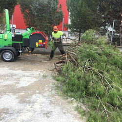 Forestal Silvestre Sl SERVICIOS FORESTALES Forestal Silvestre Sl SERVICIOS FORESTALES