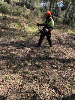 Forestal Silvestre Sl Manresa Forestal Silvestre Sl Manresa
