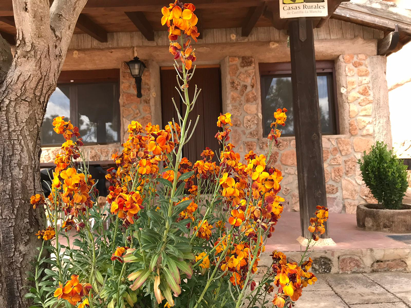 Caba&ntilde;as El Acu&iacute;fero 24