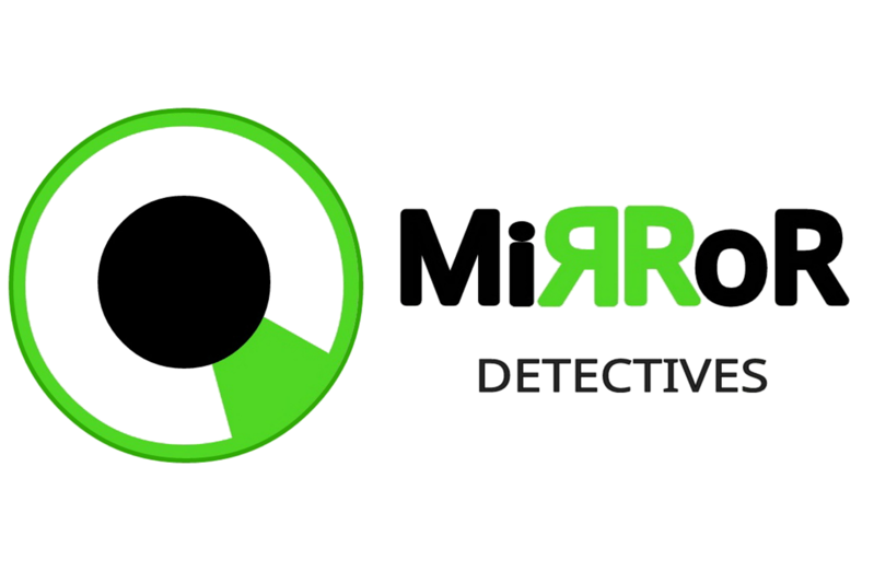 Mirror Detectives SEGURIDAD Y VIGILANCIA: EMPRESAS