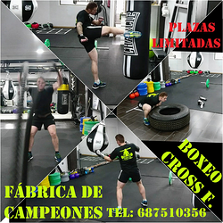 Fabrica De Campeones 2 Fabrica De Campeones 2