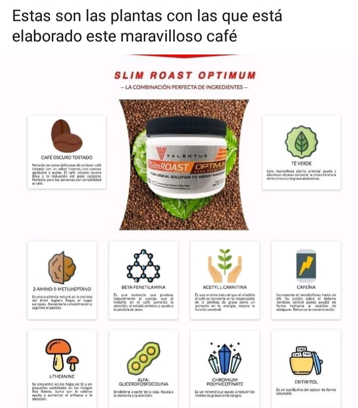 VALENTUS MAR&Iacute;A OLTRA 28