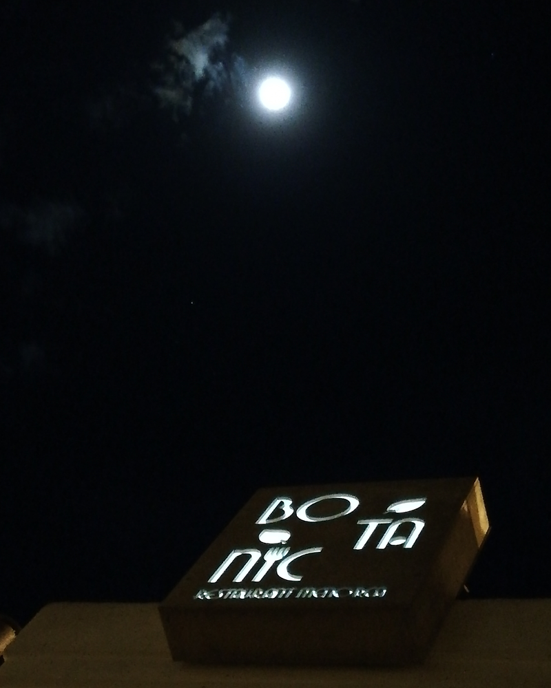 Botanic Restaurant Menorca 13