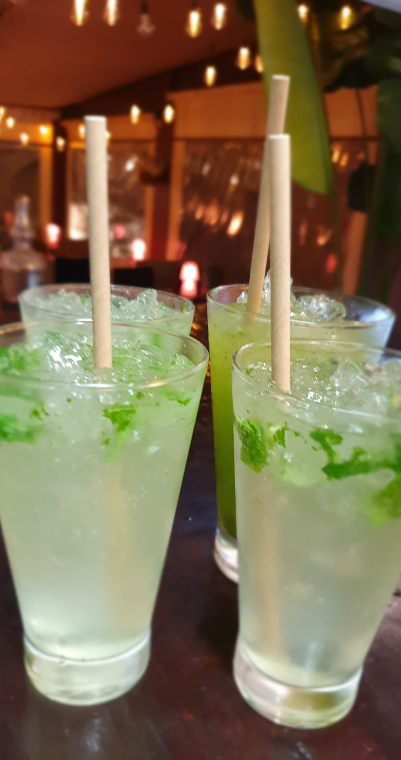 Botanic Restaurant Menorca 10