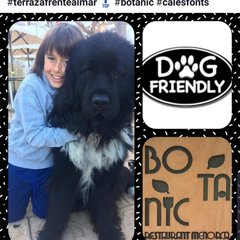 Botanic Restaurant Menorca 9