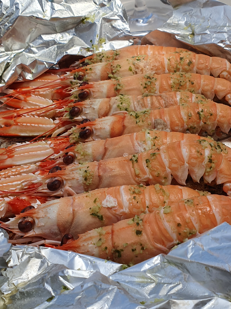 Botanic Restaurant Menorca 7