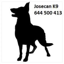 Josecan K9