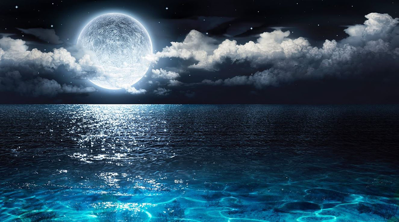 Luxury Cl&iacute;nica M&eacute;dico Est&eacute;tica 8