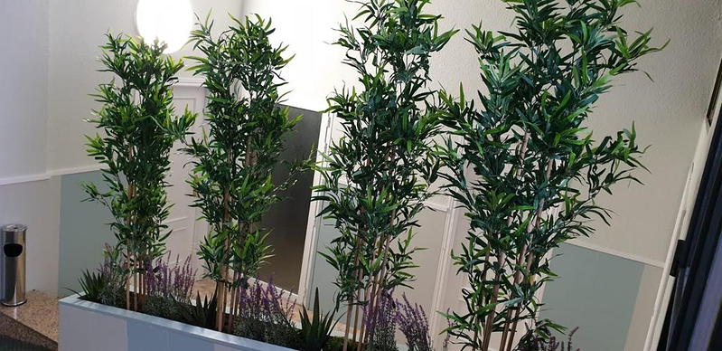 Puerto de T&iacute;scar S.L. 3