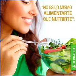 Distribuidor Independiente Herbalife Tenerife 4 Distribuidor Independiente Herbalife Tenerife 4