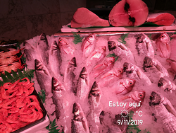 La Lonja Hermanos Alegre PESCADERIAS La Lonja Hermanos Alegre PESCADERIAS