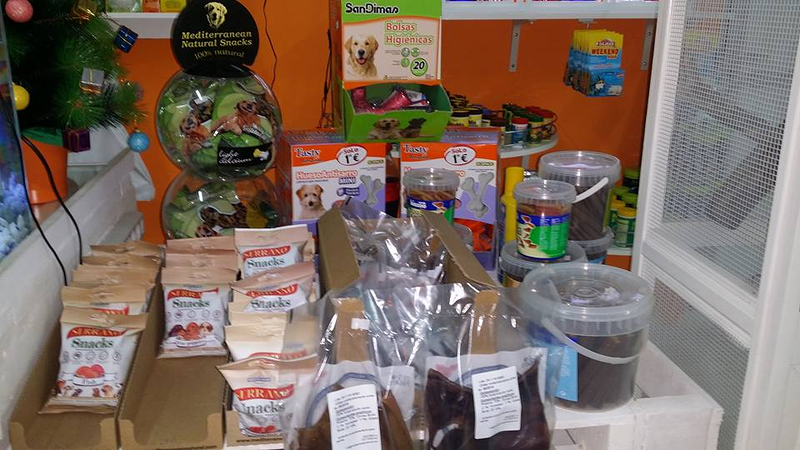 Reptiles Lanzarote 13