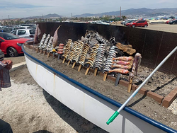 Imagen de La Marea Sacaba Beach Imagen de La Marea Sacaba Beach