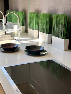 Cook Interiorismo 2 Cook Interiorismo 2