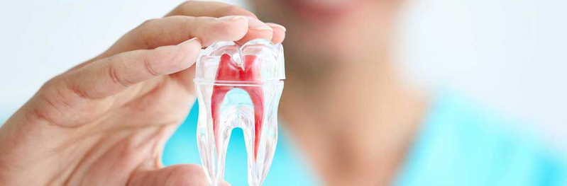 Cl&iacute;nica Dental Stenon Dos Hermanas