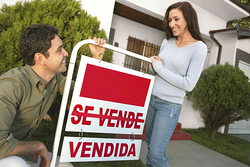 Haleh Inmobiliarias Estepona Haleh Inmobiliarias Estepona