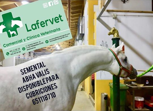 Galería de imágenes