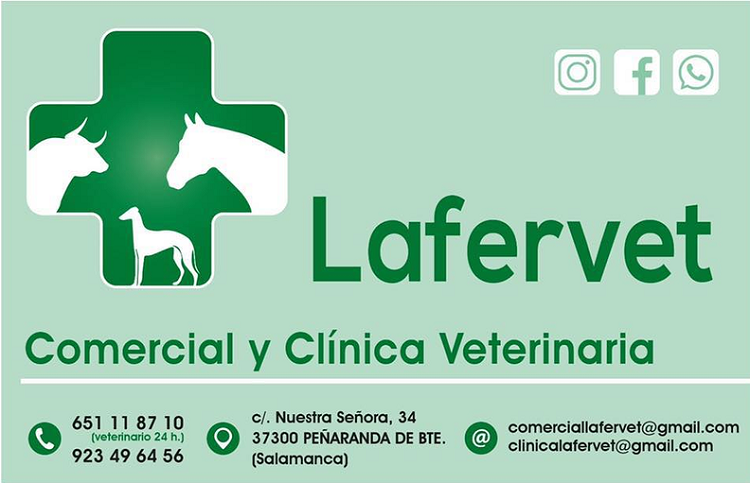 Lafervet 6