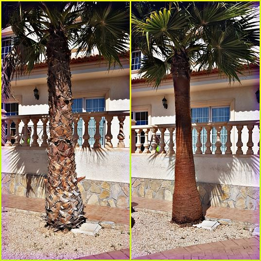 Vidal Gardens JARDINERIA: EMPRESAS DE SERVICIOS