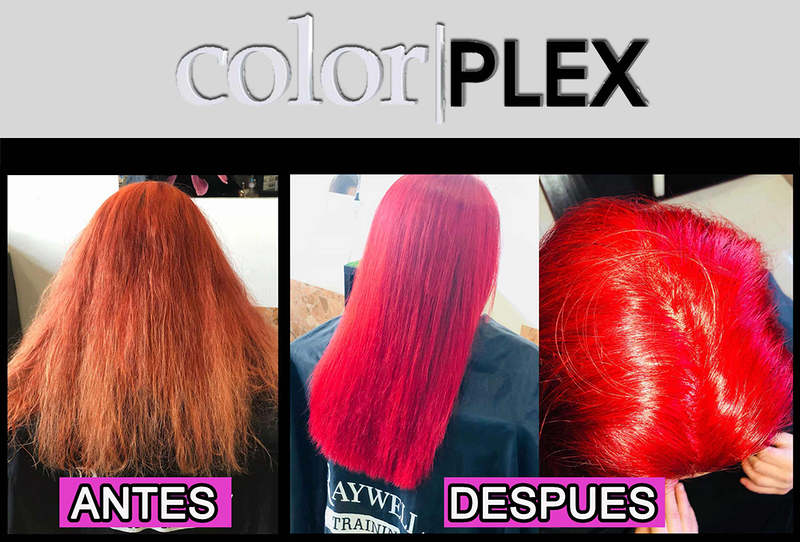 Raywell Espa&ntilde;a - Productos Profesionales de Peluquer&iacute;a 8