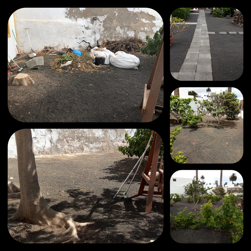 Piscinas Reformas Jardines Df 39