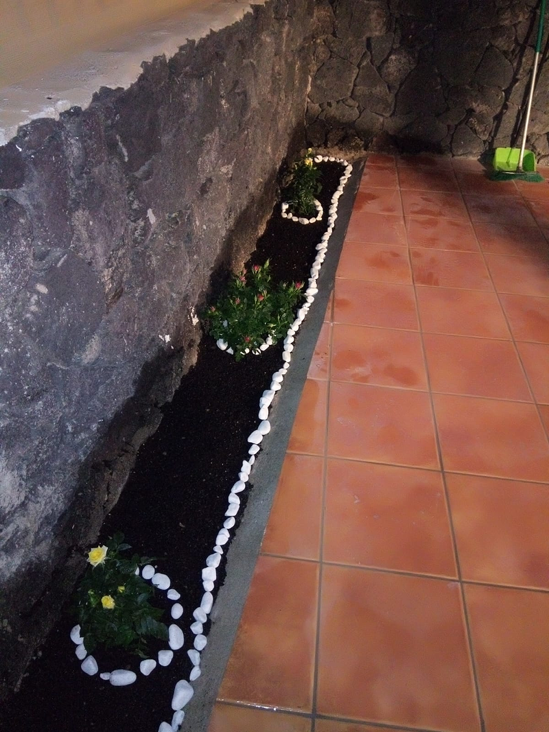 Piscinas Reformas Jardines Df 40