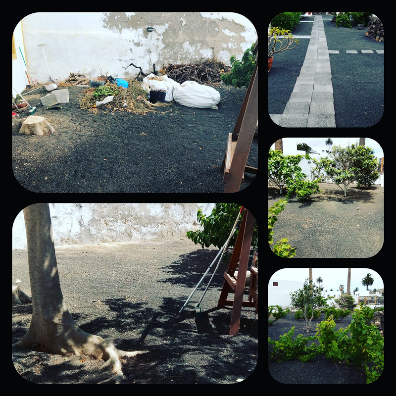 Piscinas Reformas Jardines Df 17