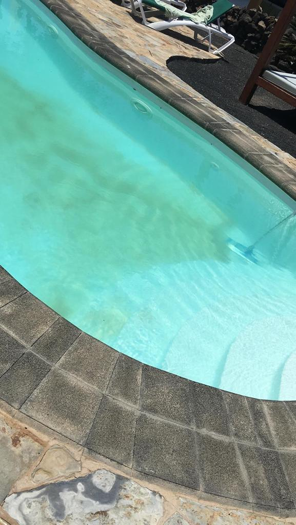 Piscinas Reformas Jardines Df 7