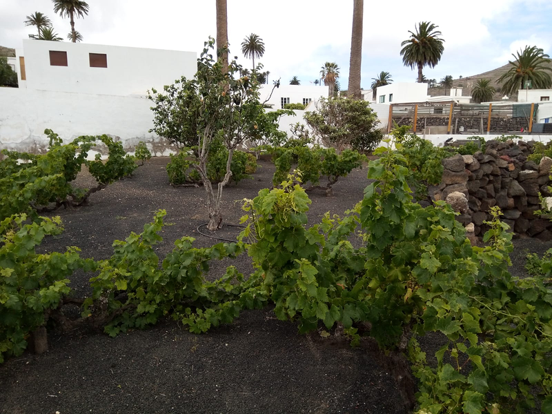 Piscinas Reformas Jardines Df 34