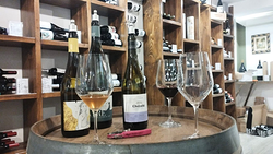 Galería de imágenes