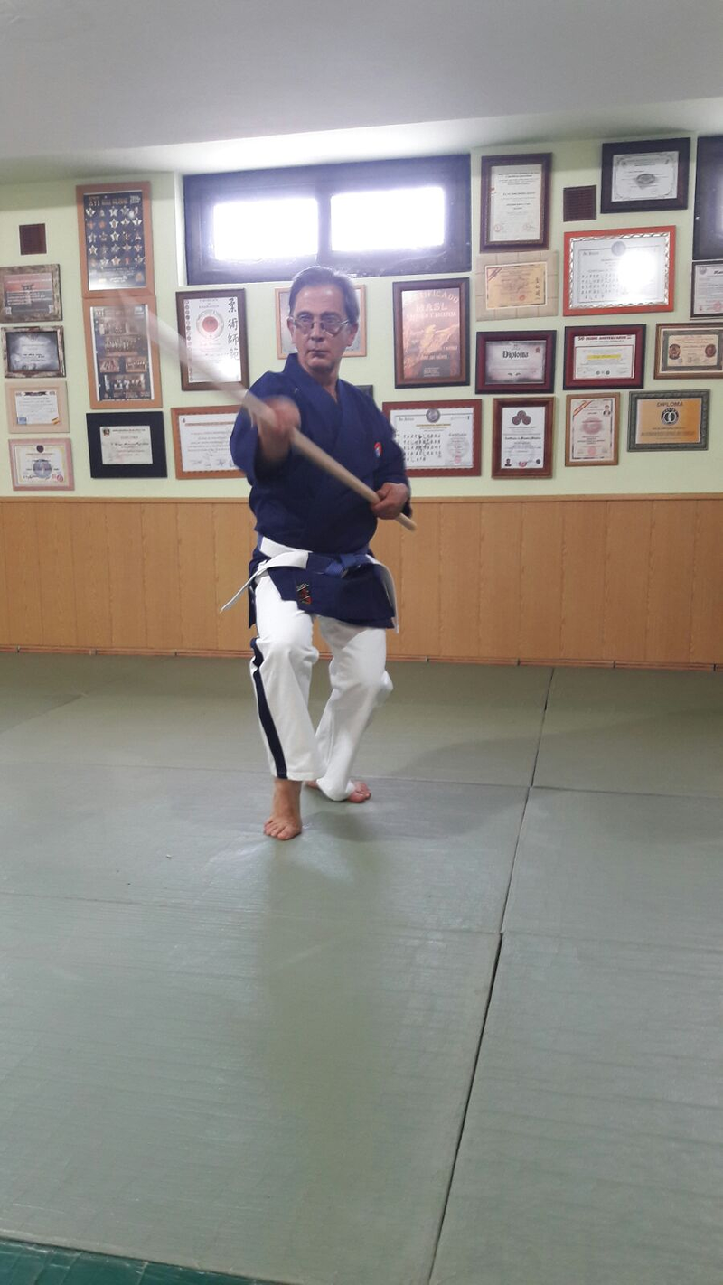 Escuela de Artes Marciales Bushi No Rei 5