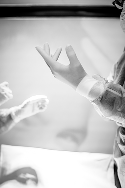 Galería de imágenes