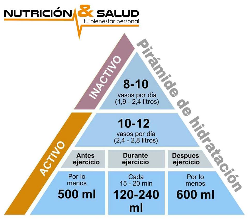 Nutricion Y Salud 5